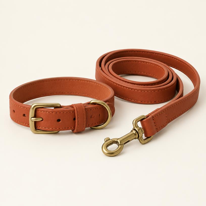 Leather Collar & Leash